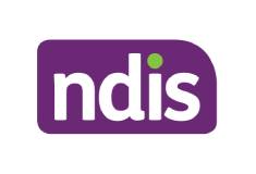 Ndis logo